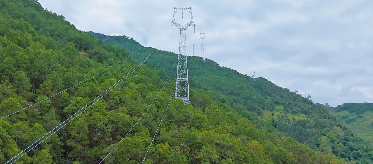 ײƺ220kV·ȫ߹ͨɫ